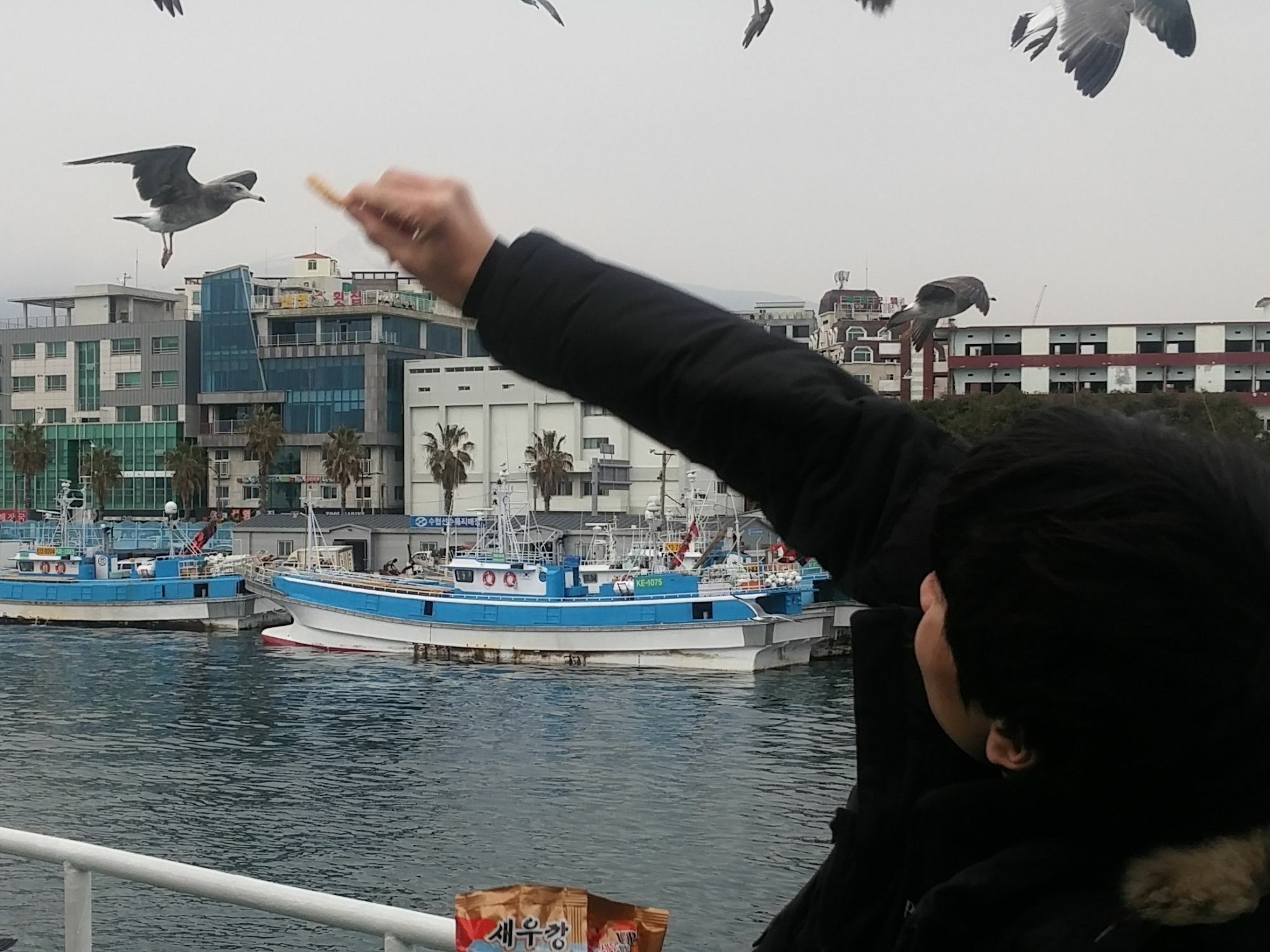 섬스토리 펜션 서귀포 외부 사진